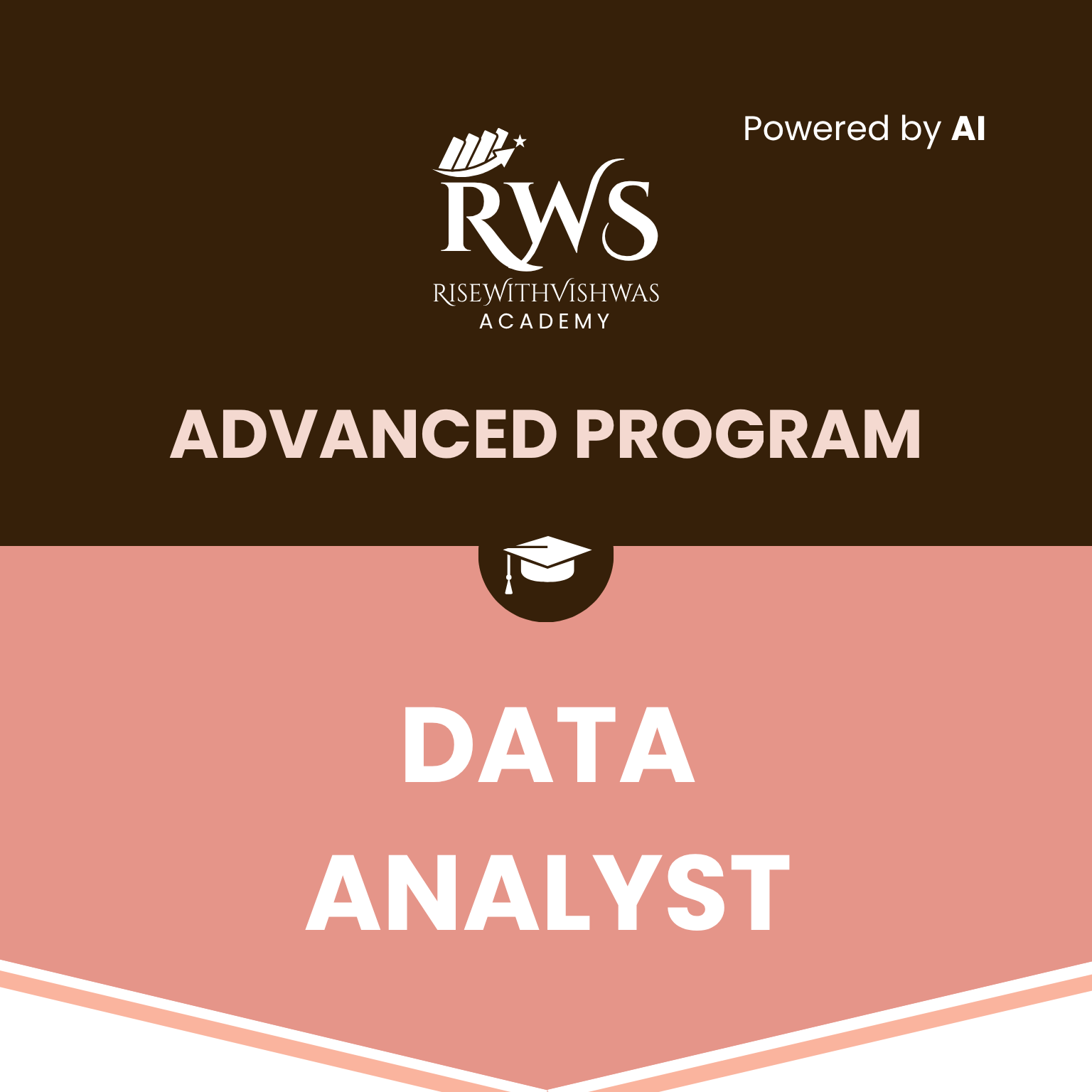 Advanced Data Analyst (Job Guarantee) Program