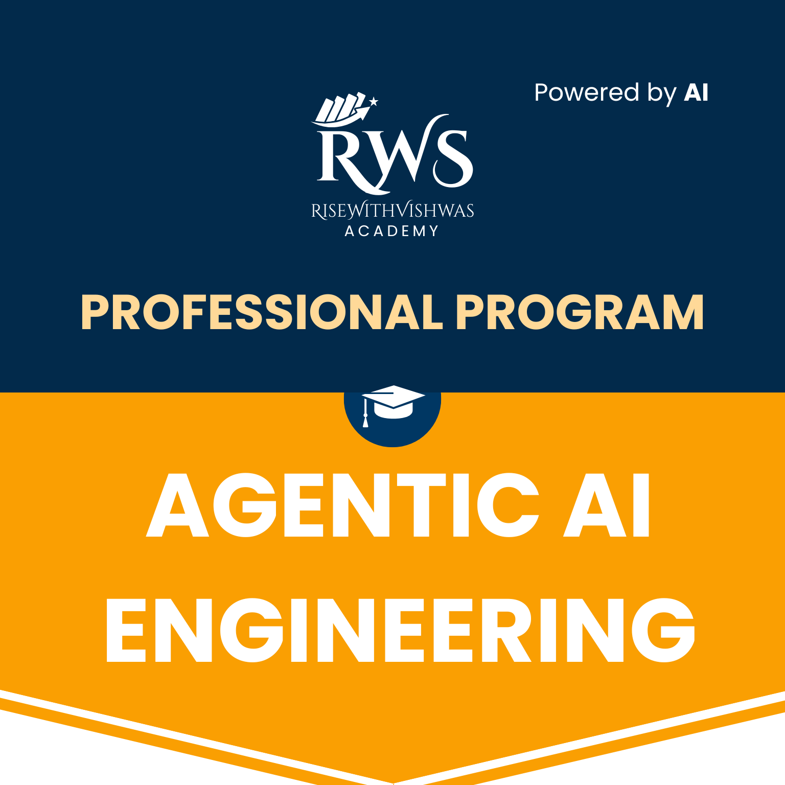 Professional Agentic AI Engineer Program
