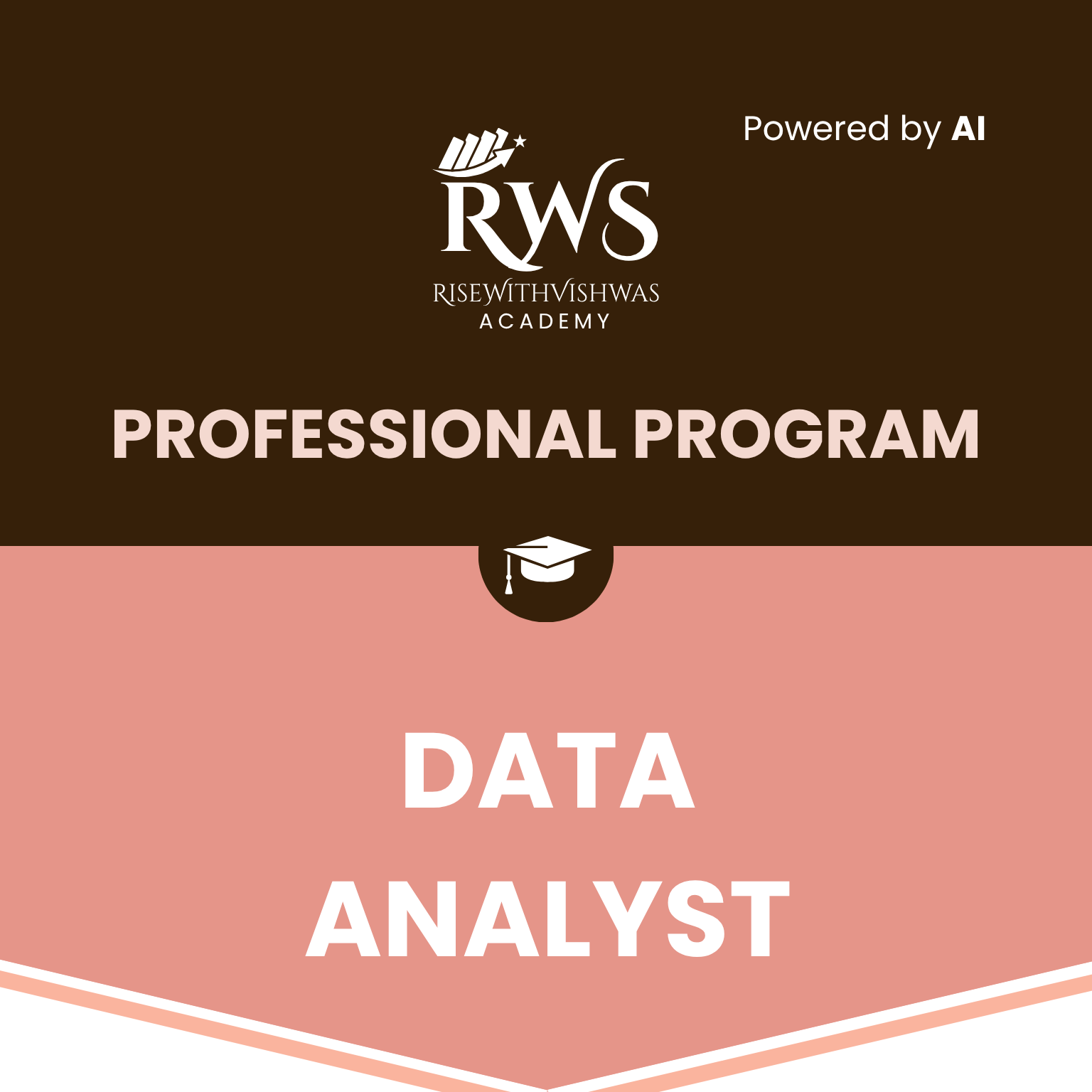 Professional Data Analyst Program