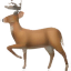 DeerFlow